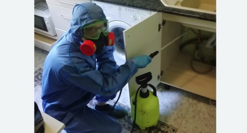 Уничтожение муравьев в квартире. Сердобск