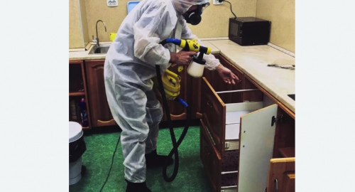 Дезинсекция квартиры. Сердобск