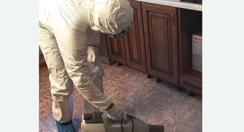 Уничтожение тараканов в квартире. Сердобск