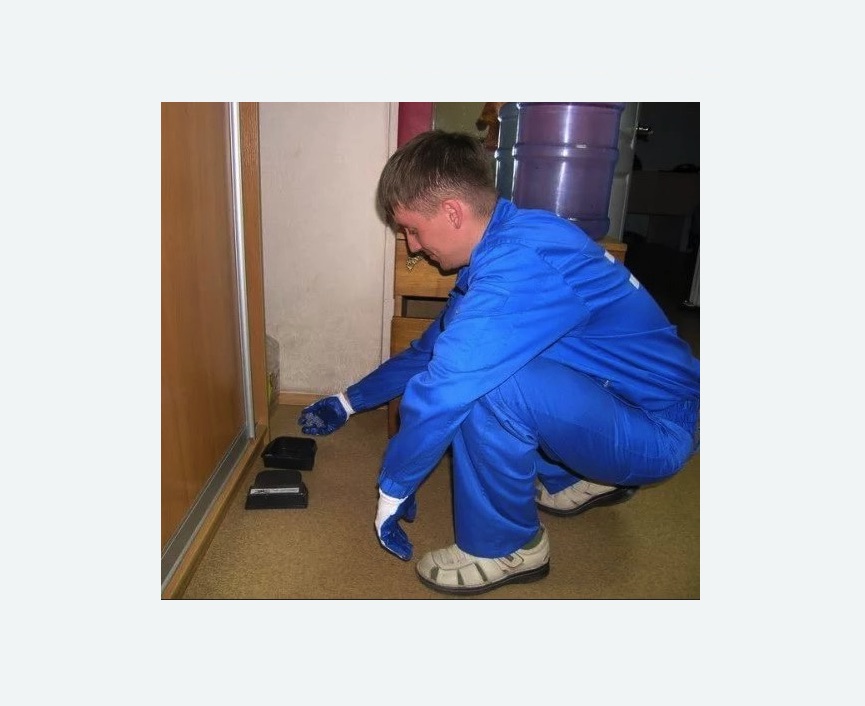 Дератизация крыс в Сердобске