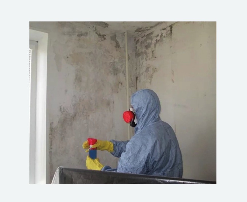 Удаление плесени в квартире Удаление плесени в квартире в Сердобске