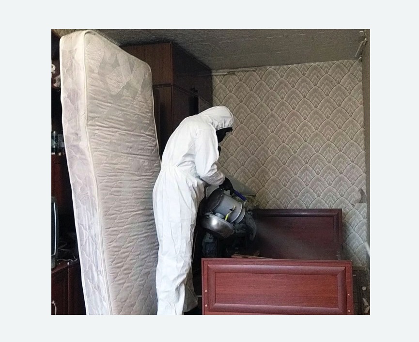 дезинфекция от клопов в Сердобске