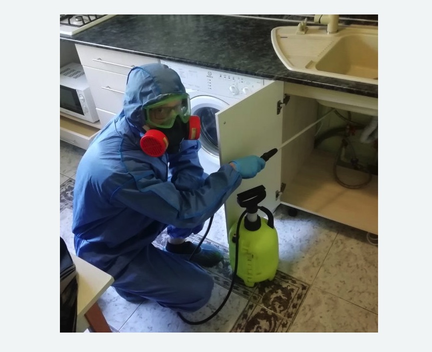 обработка от муравьев в квартире в Сердобске