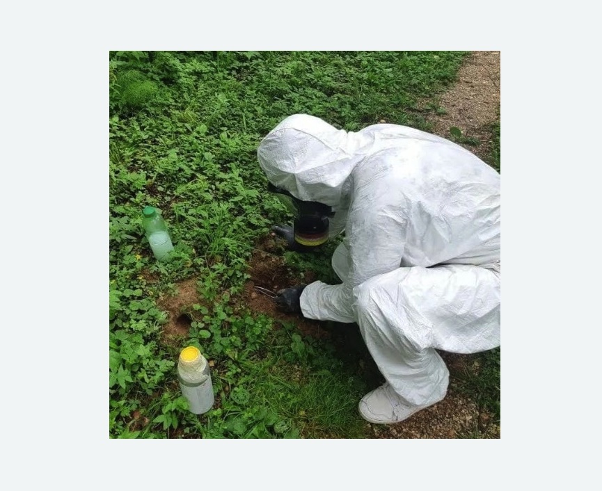 уничтожение кротов на участке в Сердобске