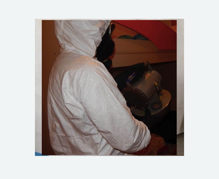 Дезинфекция от муравьев в Сердобске