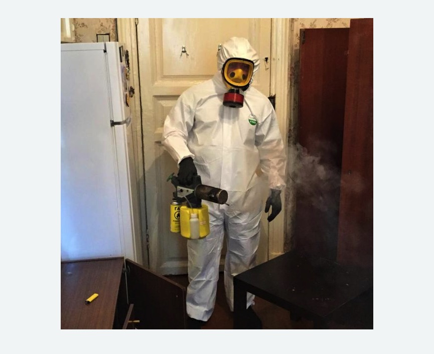 уничтожение муравьев в квартире в Сердобске